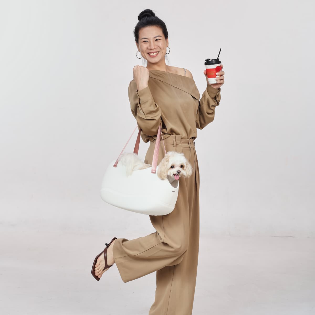 Stylish Pet Handbag Carrier for Everyday Outings