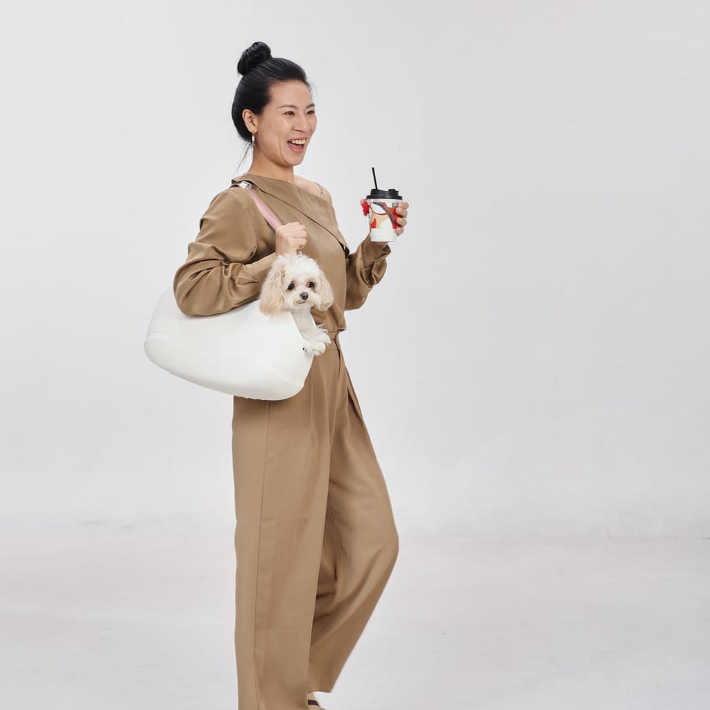 Stylish Pet Handbag Carrier for Everyday Outings