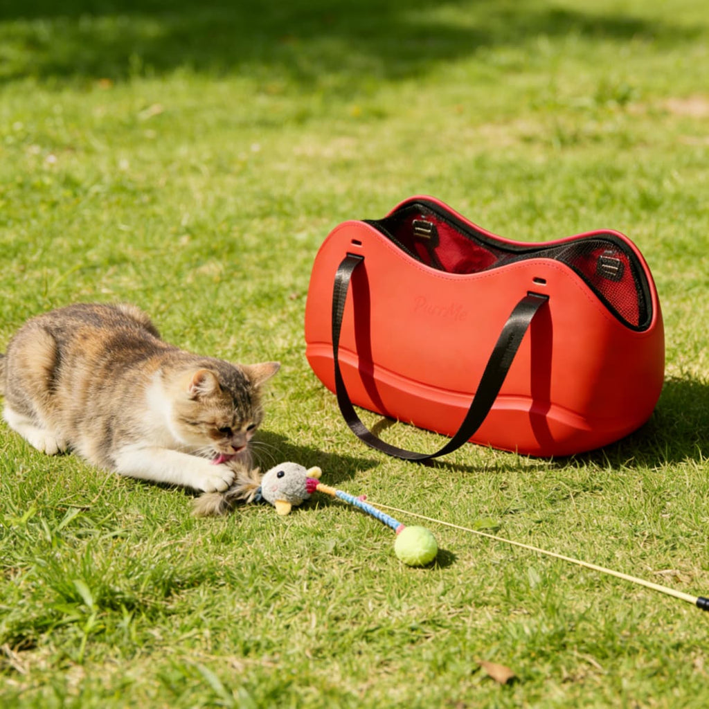 Pet Tote Bag for Everyday Travel