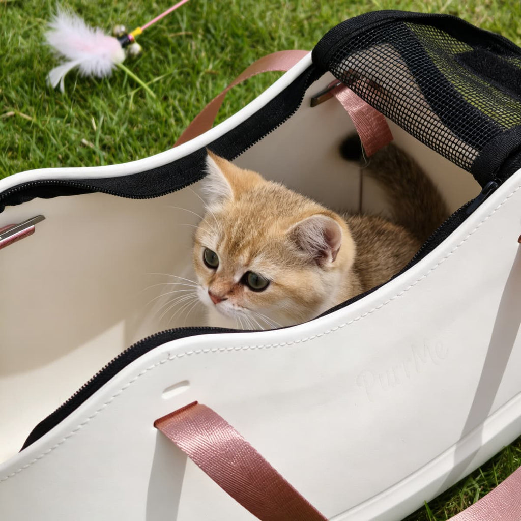 Pet Tote Bag for Everyday Travel