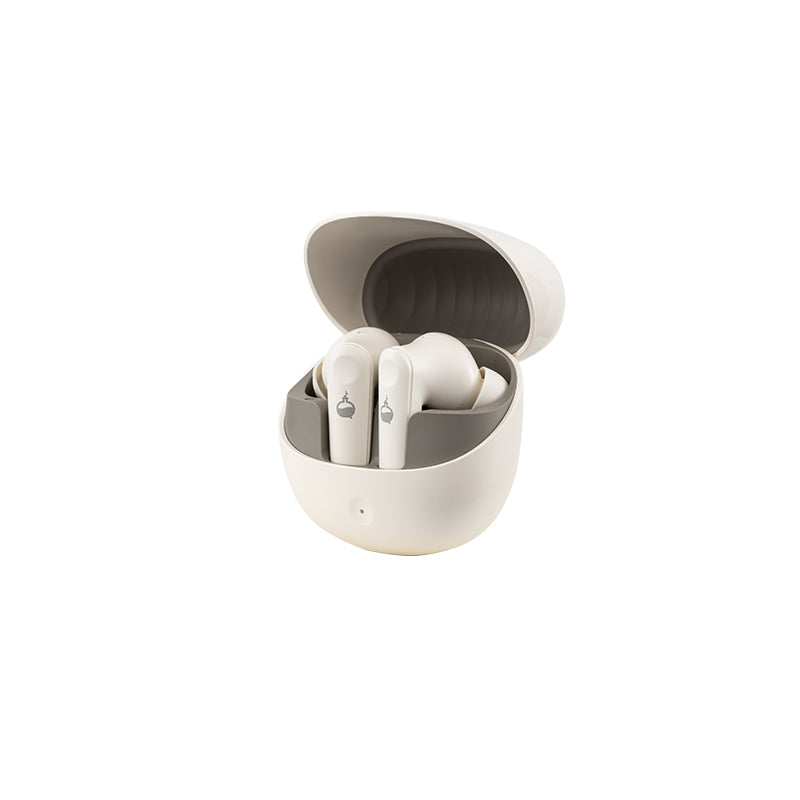 HushBuds Earbuds