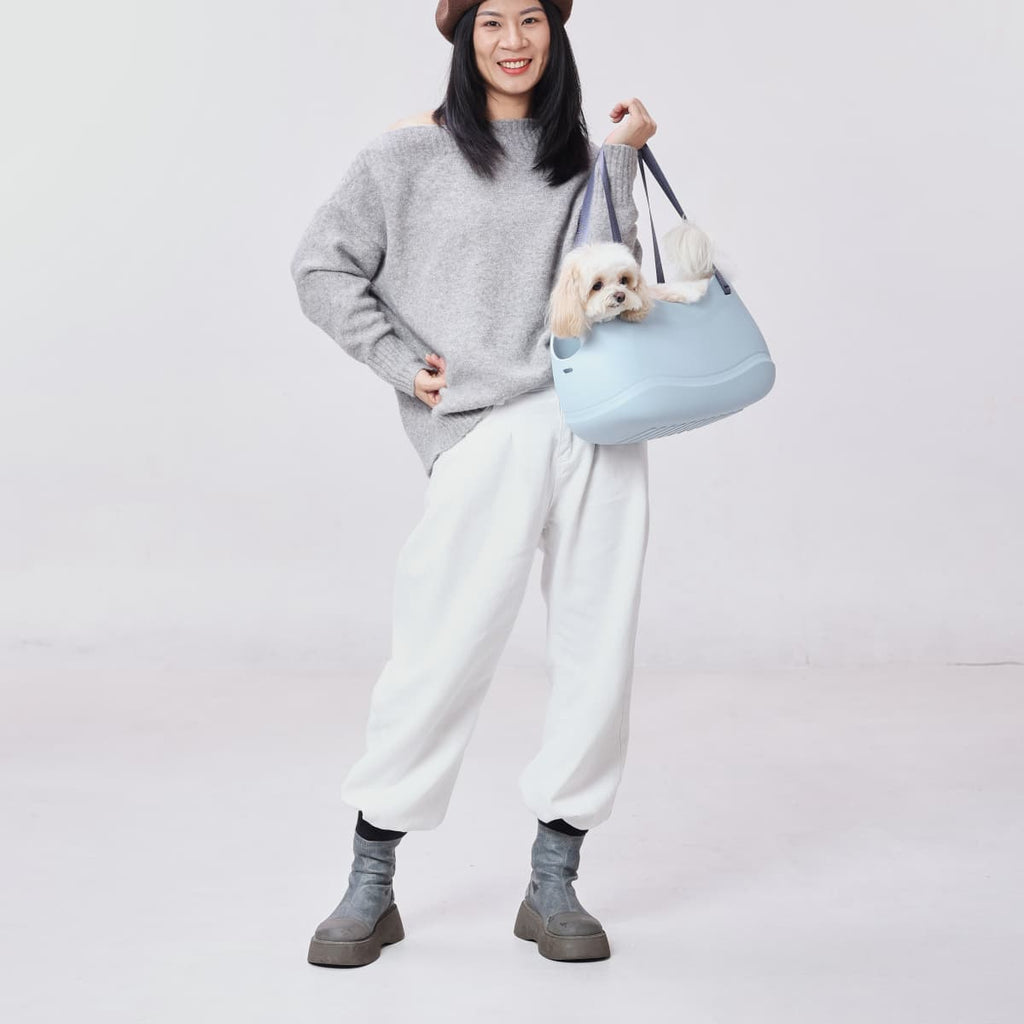 Stylish Pet Handbag Carrier for Everyday Outings