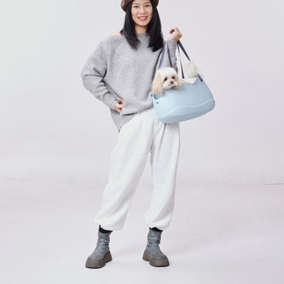 Stylish Pet Handbag Carrier for Everyday Outings