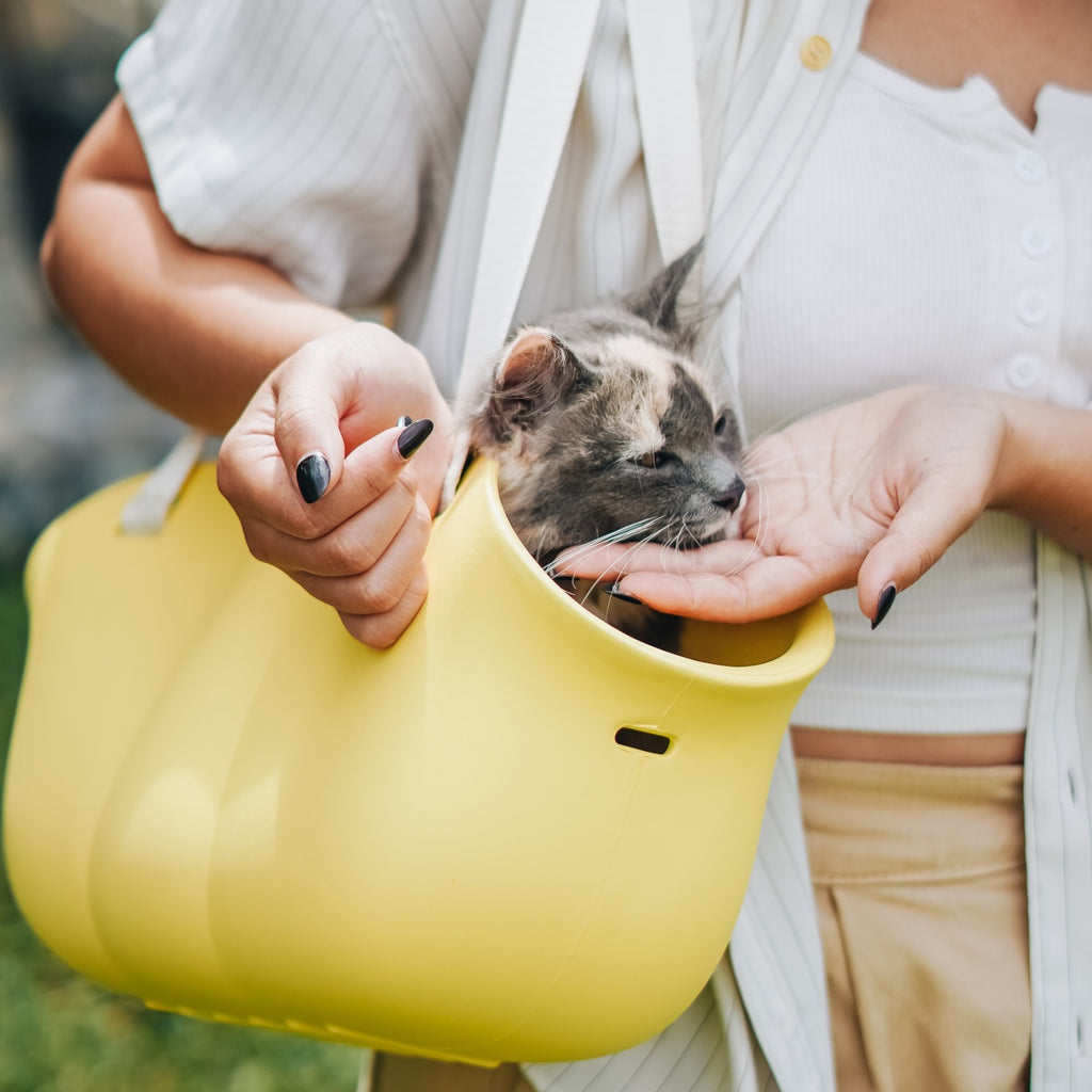 Pet Carrier-BLOOM