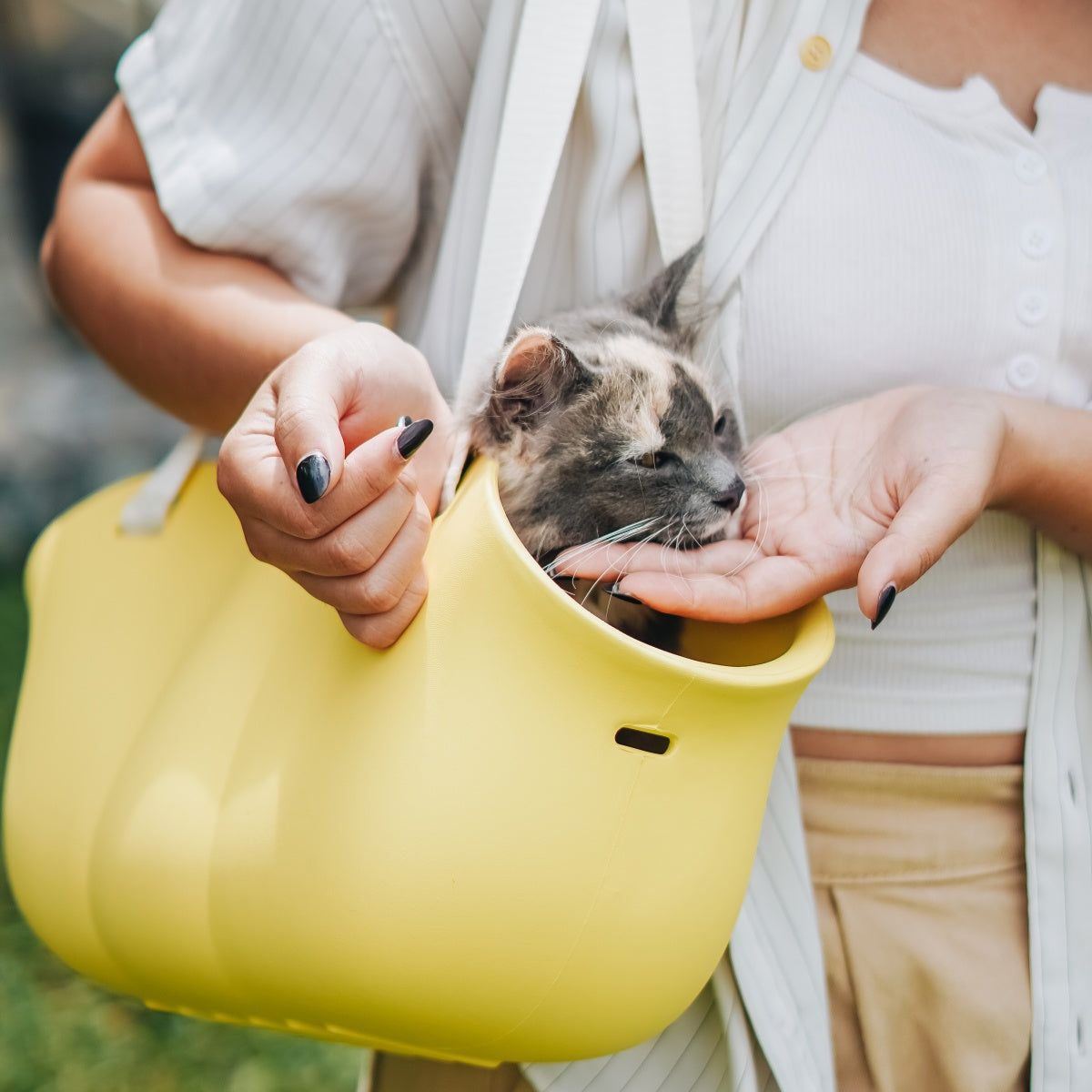 Pet Carrier-BLOOM