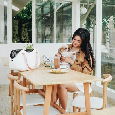 Pet Tote Bag for Everyday Travel