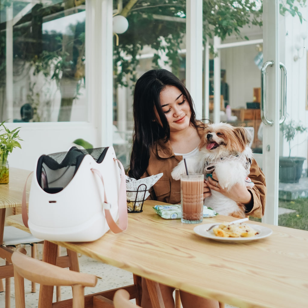 Pet Tote Bag for Everyday Travel