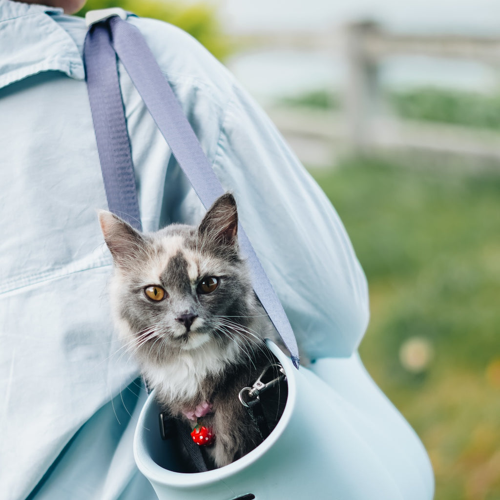 Pet Carrier-BLOOM